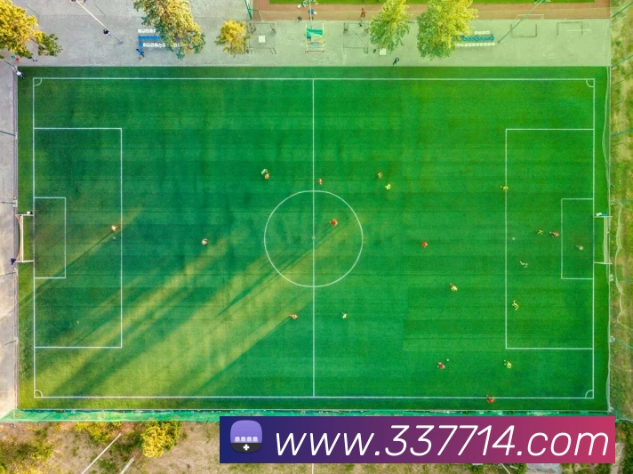 3377品牌故事